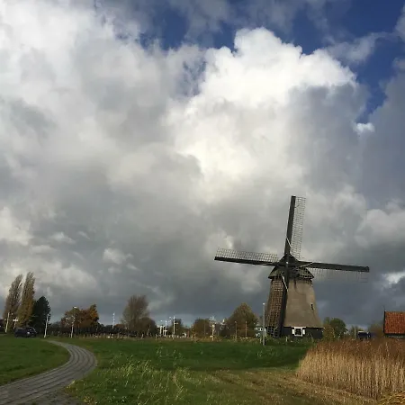 Flowertown * Alkmaar